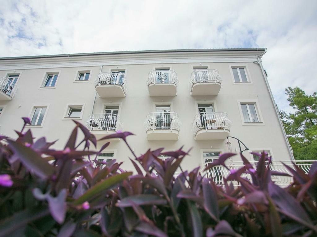 Sesar Apartments Krk - No. 2 Vinko 克尔克 外观 照片
